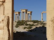 Palmira, Palmira, Siria