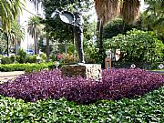 Parque Central, Malaga, España