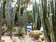 Jardin Majorelle, Marrakech, Marruecos