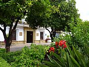 Plaza de los Naranjos, Marbella, España