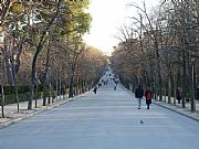 Parque del Retiro, Madrid, España