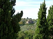 Via dei Canneti, Montepulciano, Italia