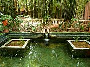 Jardin Majorelle, Marrakech, Marruecos