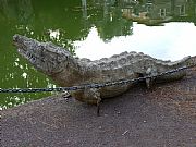 Villa Adriana, Villa Adriana, Italia