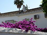 Calle de los Geranios, Fuengirola, España