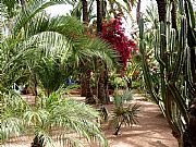 Jardin Majorelle, Marrakech, Marruecos