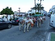 Calle Larga del Palmar, Mijas, España