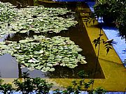 Jardin Majorelle, Marrakech, Marruecos