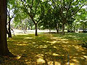 Parque de la Constitucion, Marbella, España