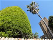 Alcazaba , Malaga, España 