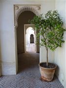 Alcazaba  , Malaga, España 