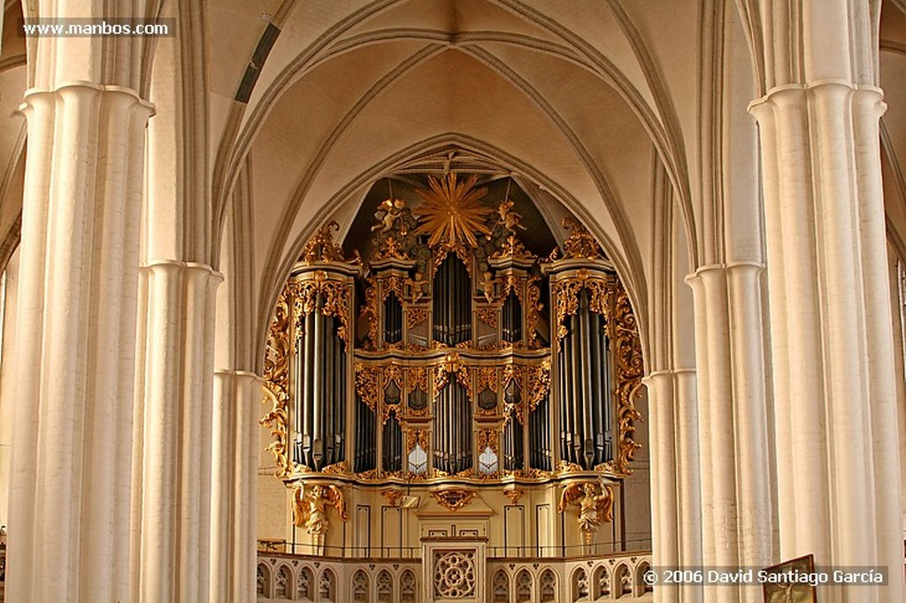 Berlin
Iglesia marienkirche
Berlin