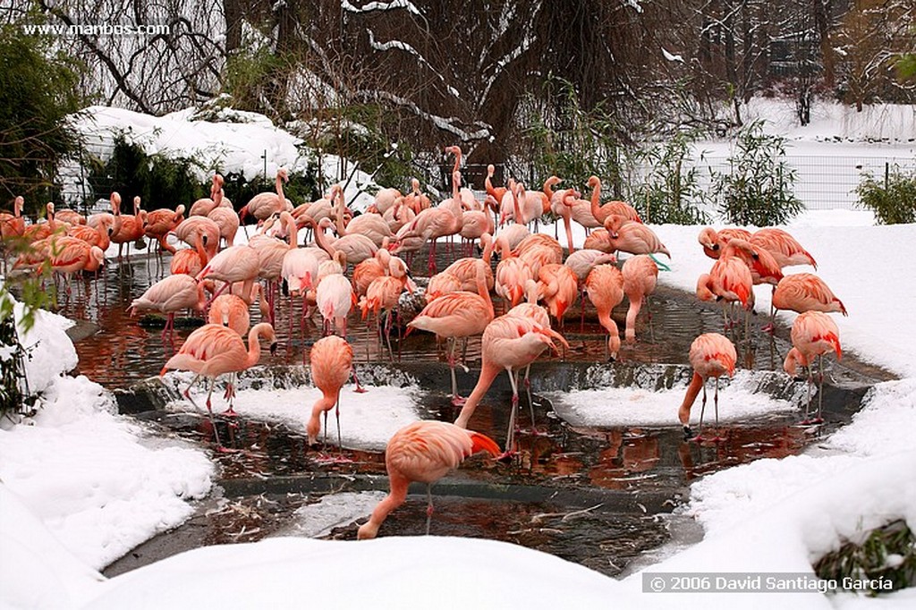 Berlin
Zoo
Berlin