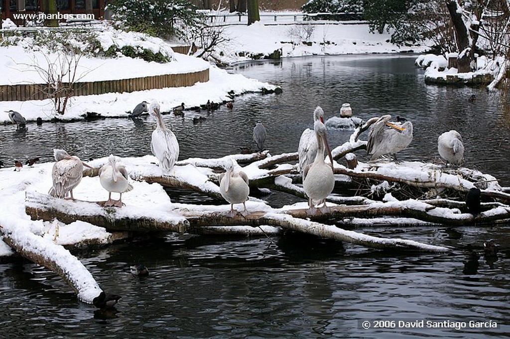 Berlin
Zoo
Berlin