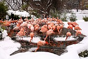 Zoo de Berlin, Berlin, Alemania