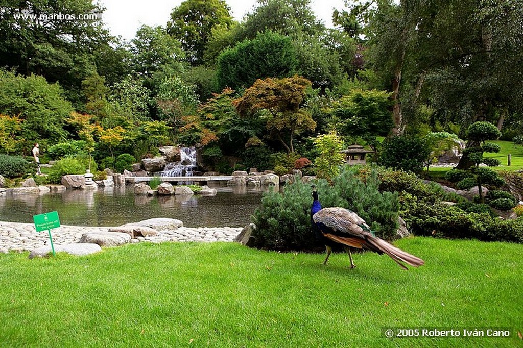 Foto de Londres, Holland park, Reino Unido - Holland Park Kyoto garden