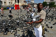 Trafalgar Square, Londres, Reino Unido