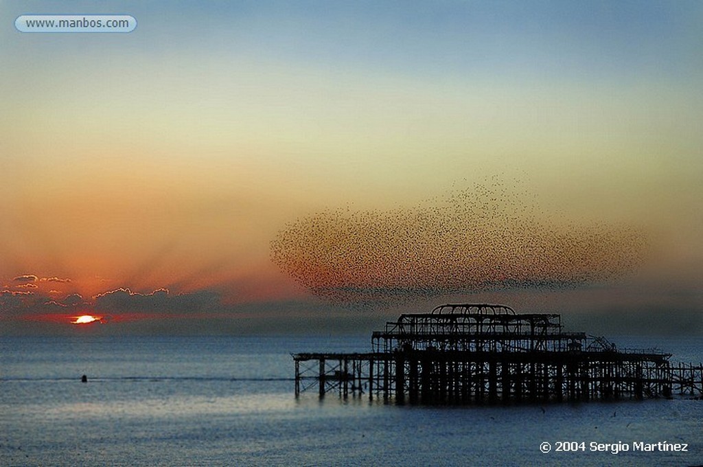 Brighton
Panoramica del Brighton pier
East Sussex