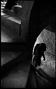 Camara NIKON D70
Escalera de caracol
La Alhambra
GRANADA
Foto: 12424