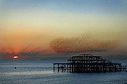 Brighton, Brighton, Reino Unido