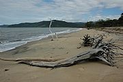 Camara Nikon D70s
Playa solitaria
Sergi Pejoan Zaragoza
DAINTREE NATIONAL PARK
Foto: 10224