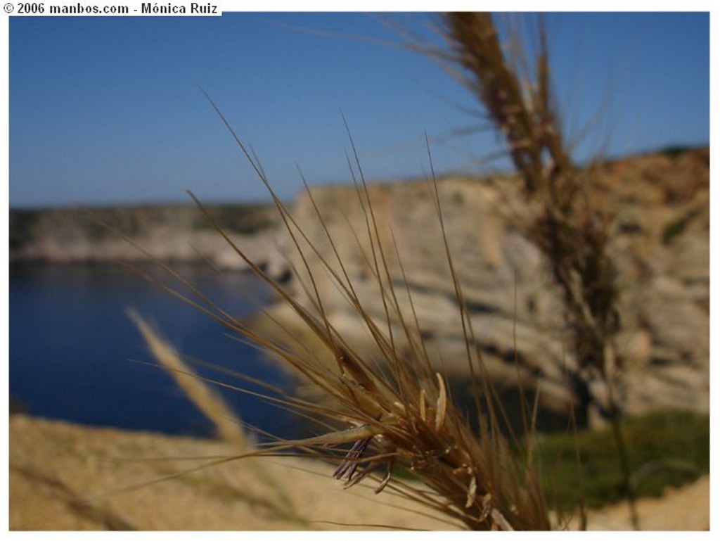 Sagres
Cabo de San Vicente
Algarve