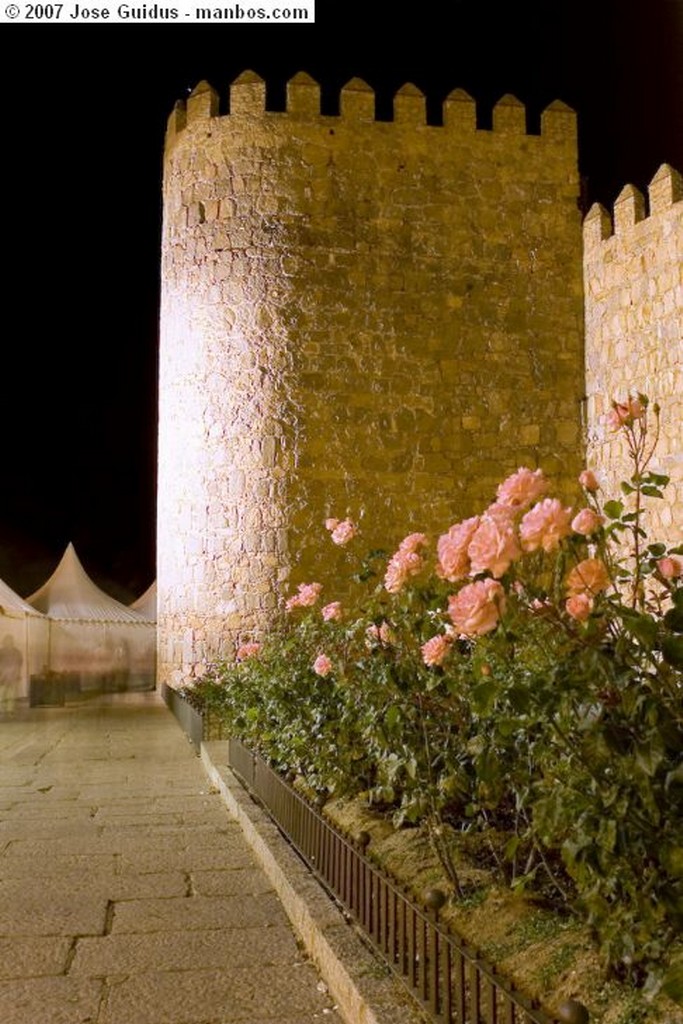 Avila
Muralla nocturna
Avila