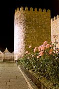 Muralla de Avila, Avila, España